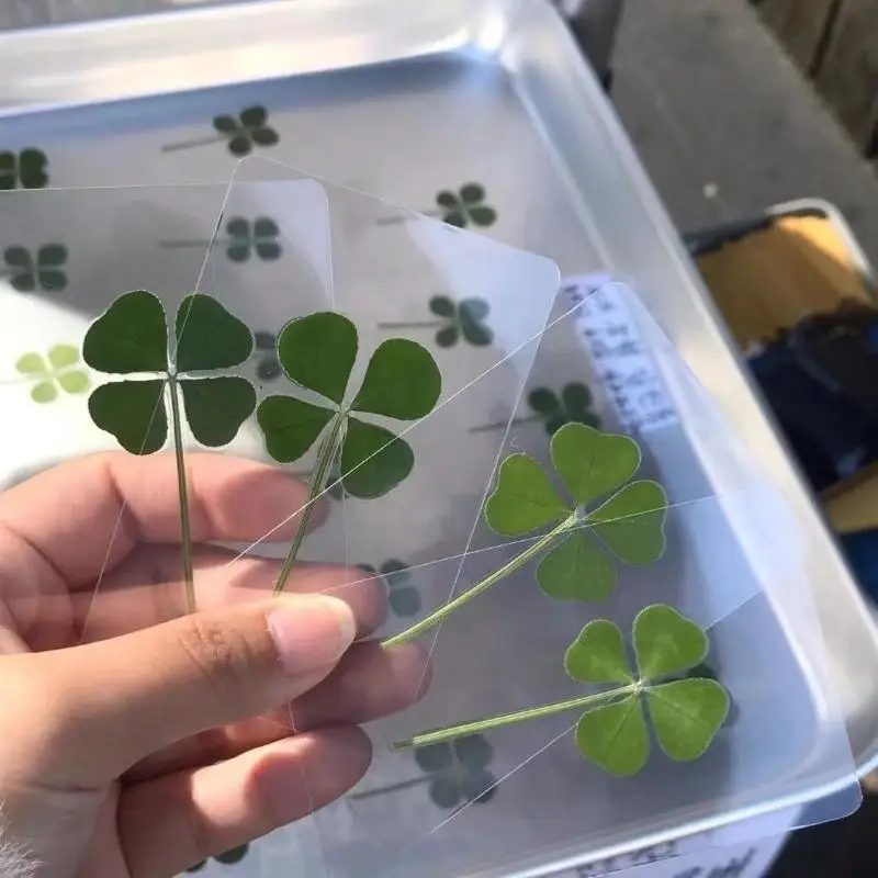 

1/5/10 шт. открытки Lucky Clover из натуральной травы, прозрачные открытки желаний для закладок