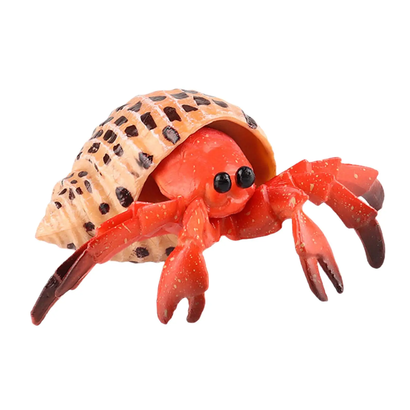 مجموعة لعب تمثال الحيوانات الناسك كراب مجموعة حوض السمك لعبة أطفال إبداعية نموذج محاكاة للفصول الدراسية