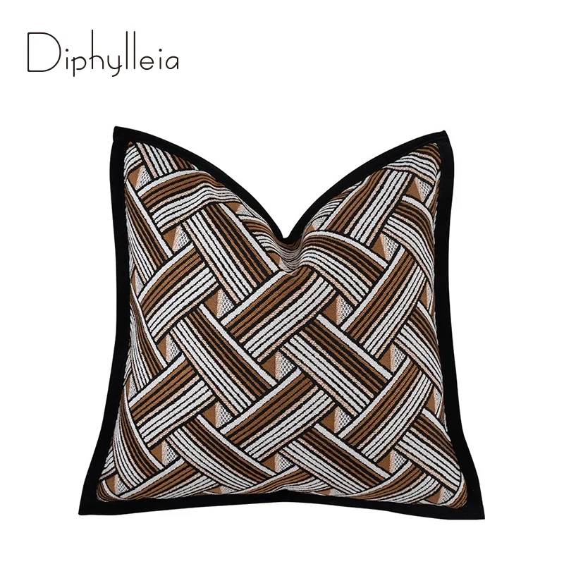 Diphylleia Basketry And Traditional Tiles Geometric Weaving Throw Pillow Cover Stunning Design Cushion Case For Sofa Couch Bed