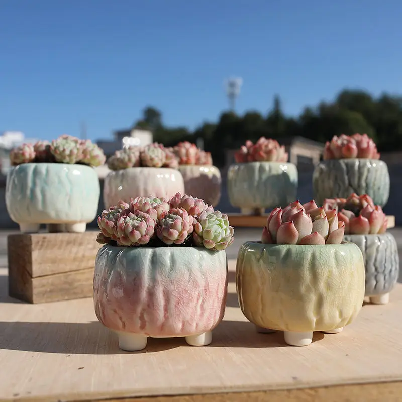 Ceramic Flower Pot Creative Design Ice Cracked Glaze Succulent Pot Planter Small Flowerpot Home Hotel Ornament Decoration