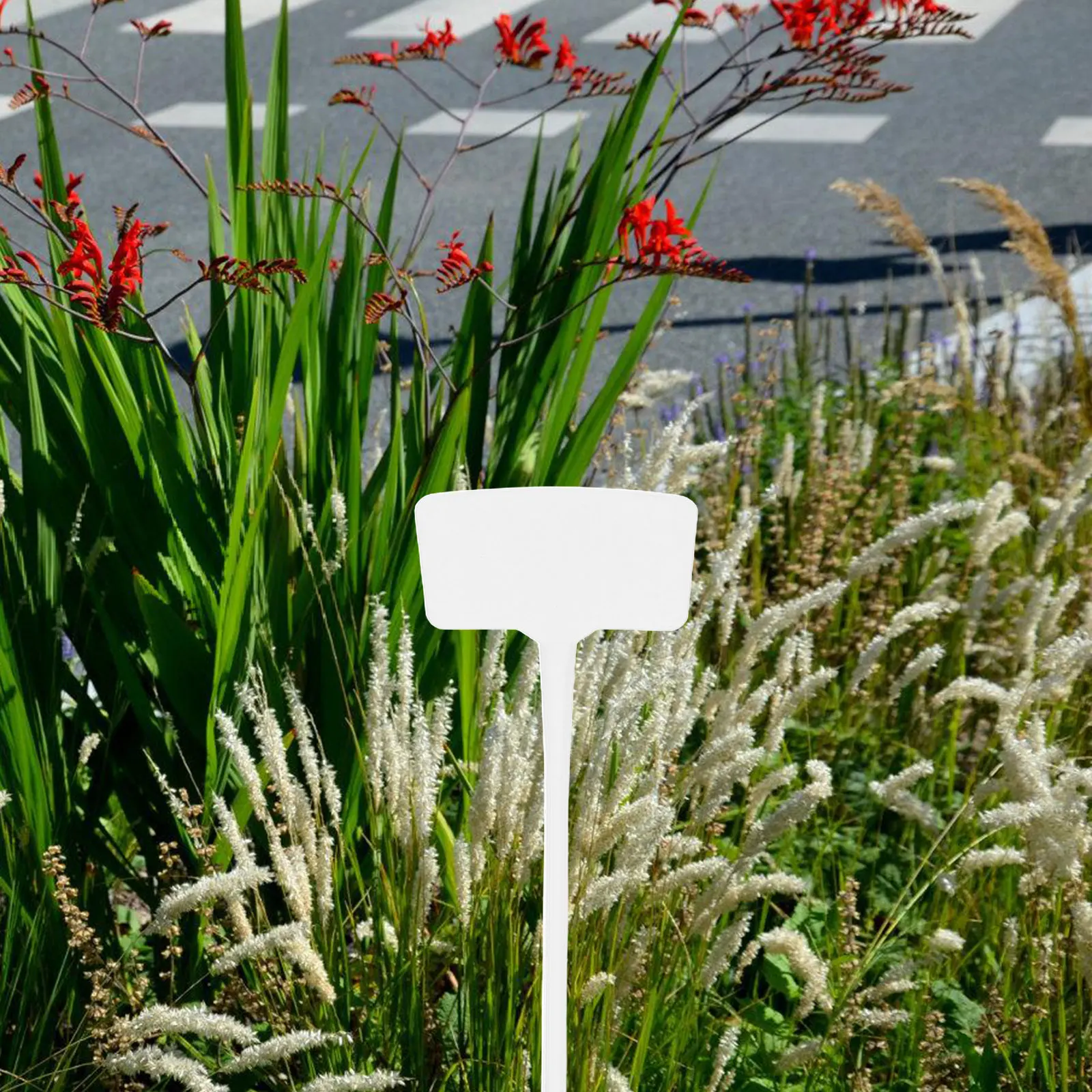 10Pcs Elegant Bow Design Garden Label Stakes Heavy Duty Weather Resistant Plastic Plant Tags for Outdoor Gardening Decor Garden