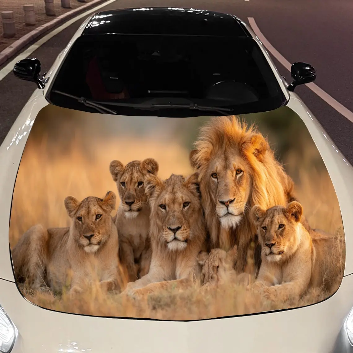 

Car Decals A Lion Family Presenting Warm Kinship And Vivid Detail In A Natural, Group - Focused Depiction Car Hood Sticker, Wate