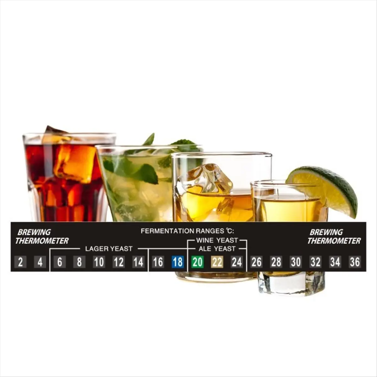 A003 10 Pcs Self Adhesive Homebrew Thermometer Home Brewing Beer Wine Temperature Sensor Reader Thermometer Sticker