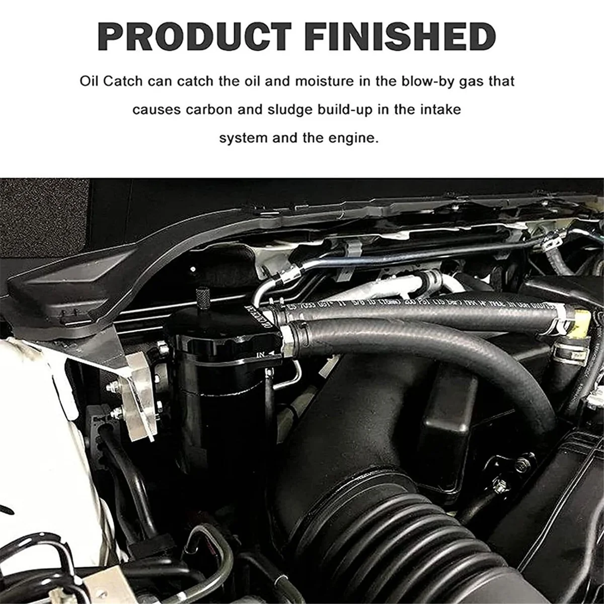 علبة صيد الزيت لفورد F150 ، خزان خزان ، F150 ، 5.0L ، رابتور ، 2.7L ، 3.5L ، ecobooost