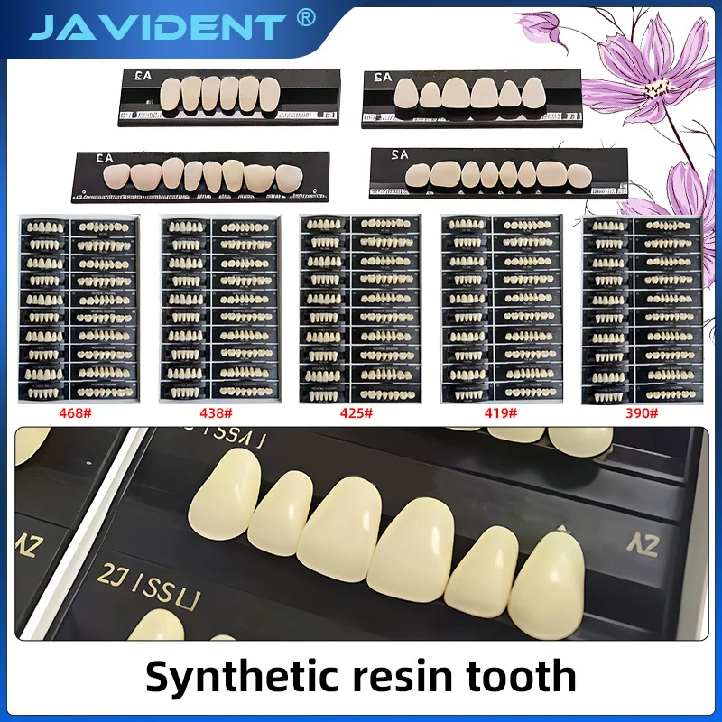 Fotografia 3: 1 Conjunto de Dentes de Resina Acrílica Odontológica Anteriores e Posteriores, Prótese Dentária Completa, Dente Falso Pré-formado em Acrílico, Modelo de Ensino, Dente Sintético Falso