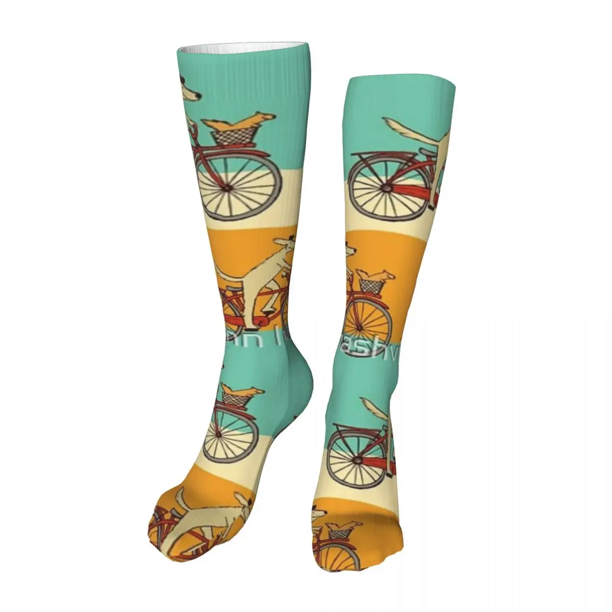 Dog And Squirrel Are Friends Adult Stockings Moisture absorbent Suitable For Sports Thigh length Socks All Seasons