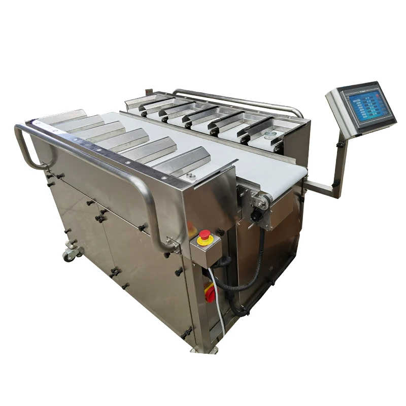 Beef Pork Steak Fish Chicken Seafood Shrimp Sausage Electronic Weighing Scalels Weight Multiheads Belt Feeder Combination Scale