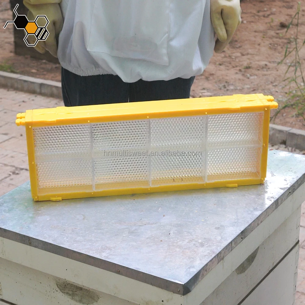 Beekeeping Equipment Honeycomb Frame Comb Honey Frame Storage Box