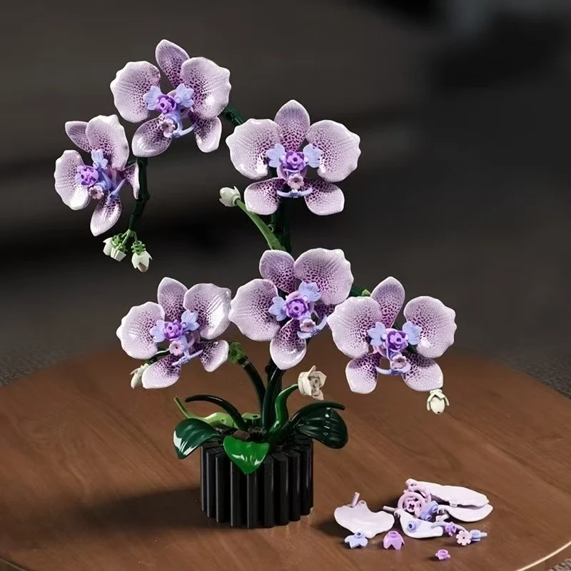 #54 Best Puzzles to Buy In 2026