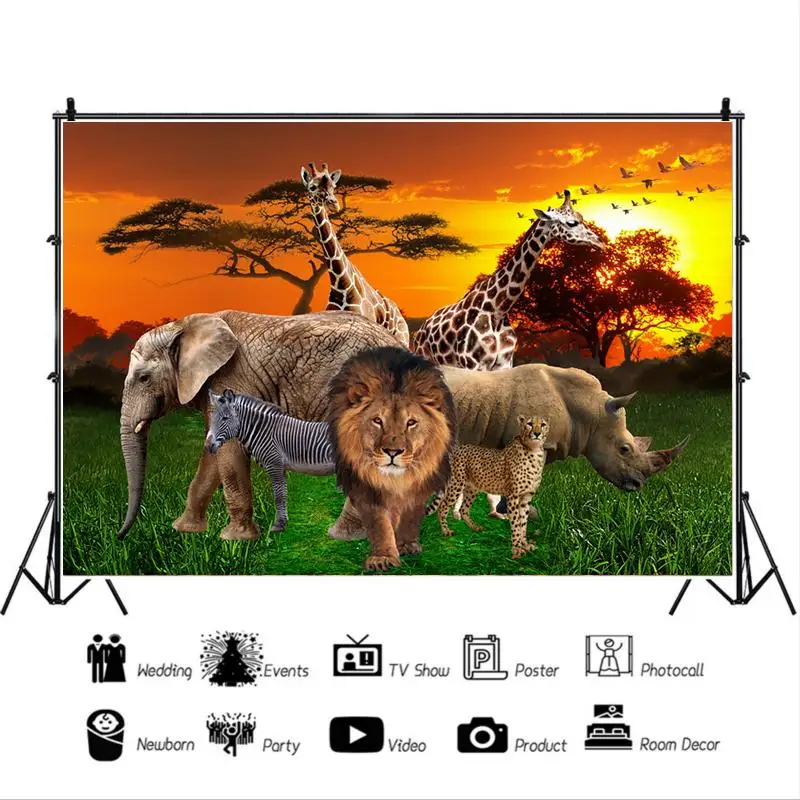 Elephant Lion Hippopotamus Morning Beautiful African Savanna Travel Background Picture Studio Photography Photo Cloth