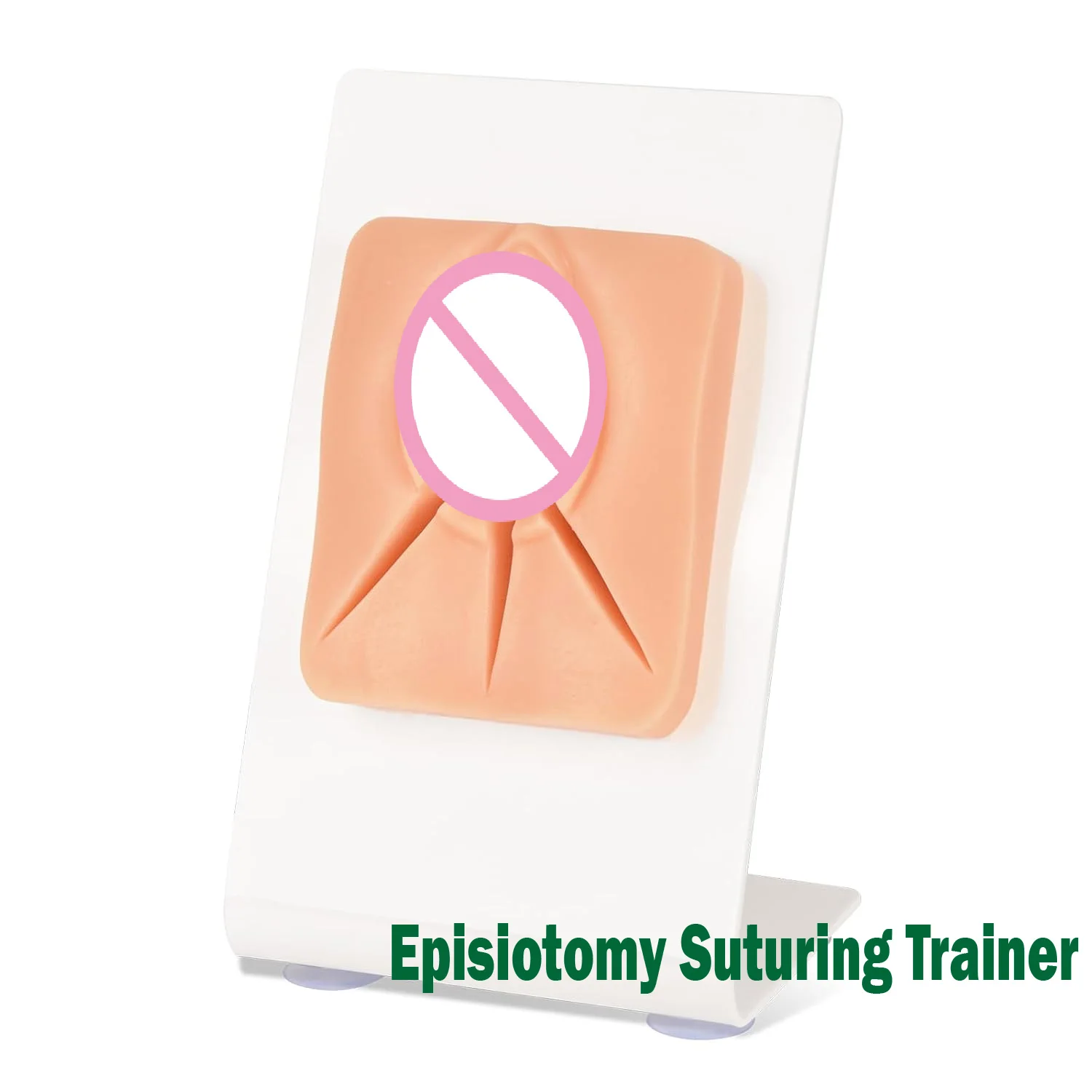 Female Episiotomy Suturing Trainer Model Perineal Repair Practice Layered Closure & Knot Tying for Medical Midwifery Education