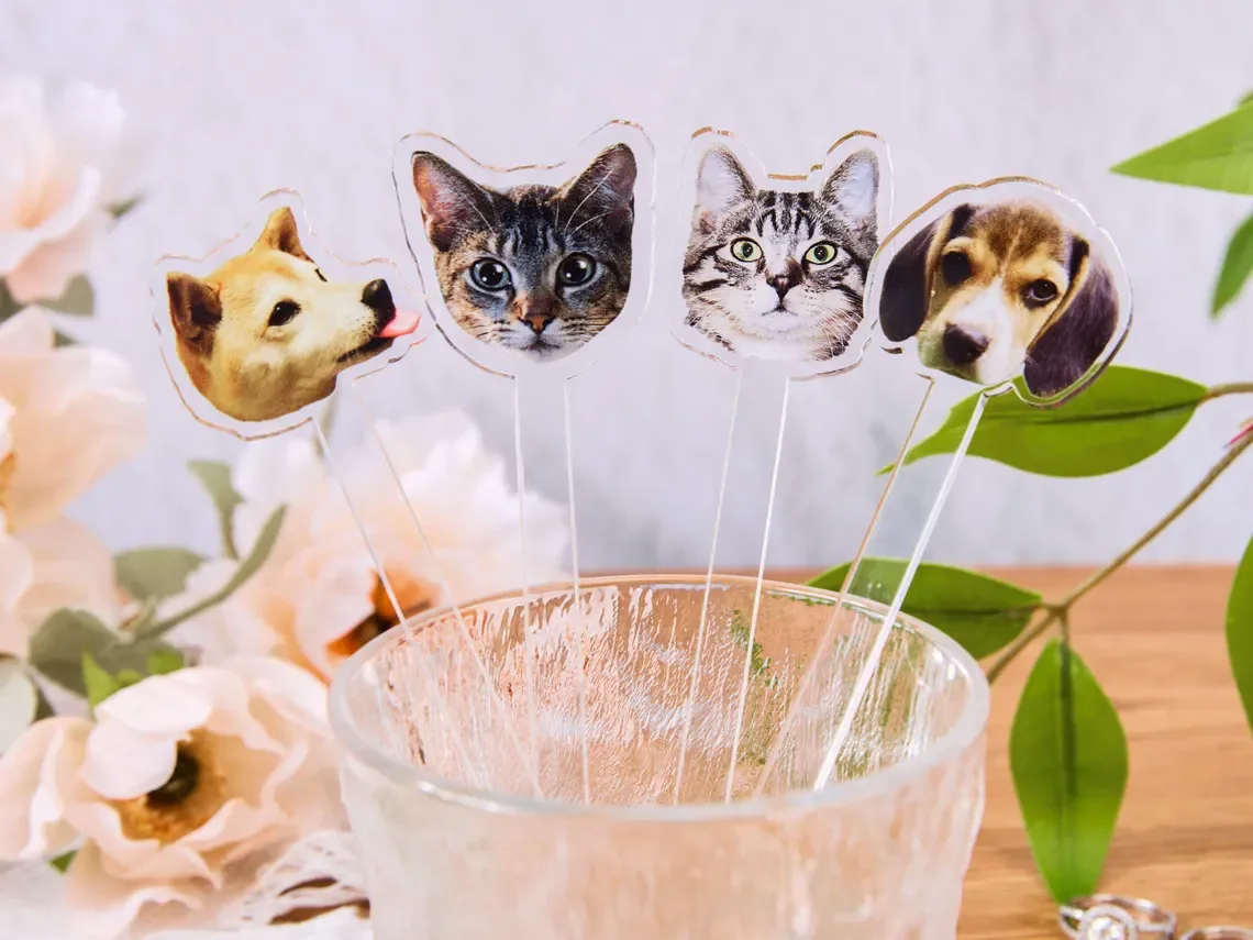 مخصص شخصية كوكتيل شاكر صور شرب شاكر الزفاف هدية الجدول الديكور شاكر الاكريليك شرب شاكر حفلة تذكارية