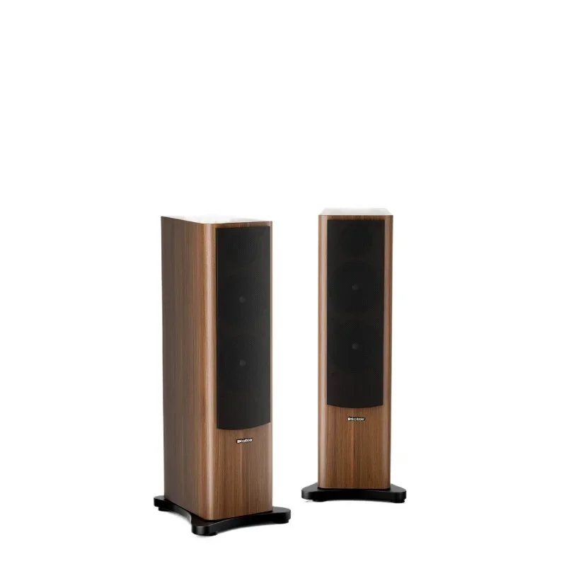 SP-K9 passive speakers, double 6.5-inch fever hifi high school bass two-way floor sound