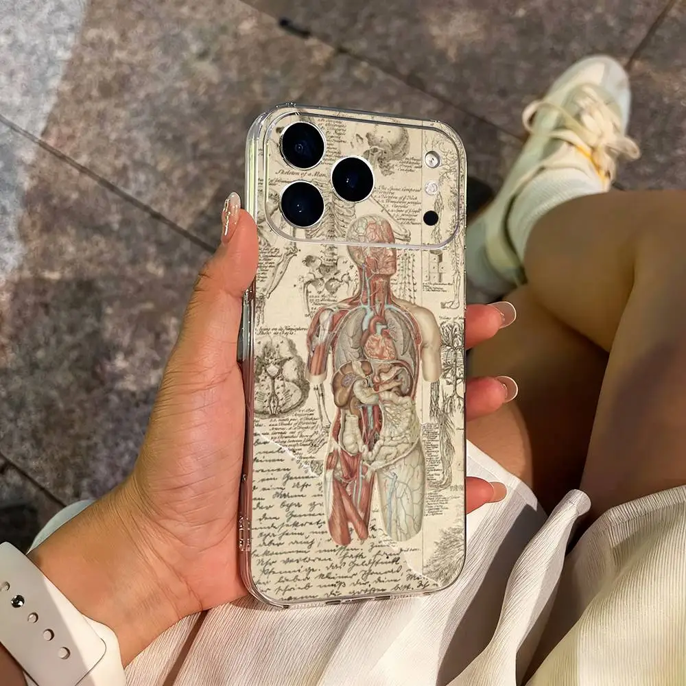 حافظة هاتف تشريح الإنسان للفن الطبي لهاتف آيفون 14,13,12,11,17,16,15,Pro,Max,Plus,X,XS,XR,SE,غطاء ناعم شفاف صغير