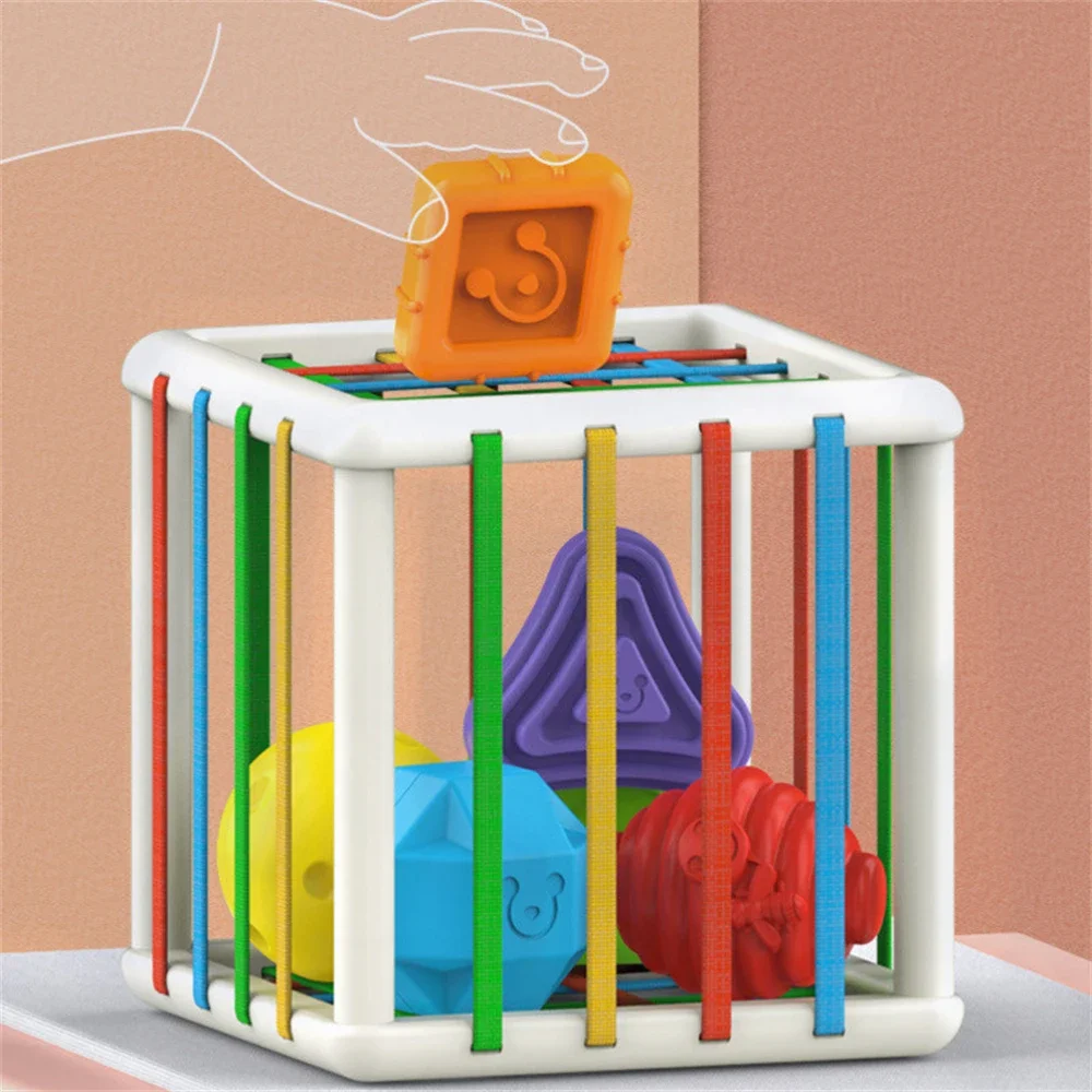 

Montessori Shape Sorter Toy 1-2 Years Sensory Sorting Educational Game Motor Skills Training Toy for Babies for Kids