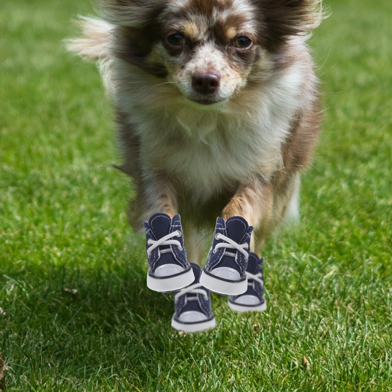 

4pcs Fashion Stars Denim Pet Dog Puppy Non-slip Lace-up Casual Shoes Sneakers Boots - Size XS (Blue)