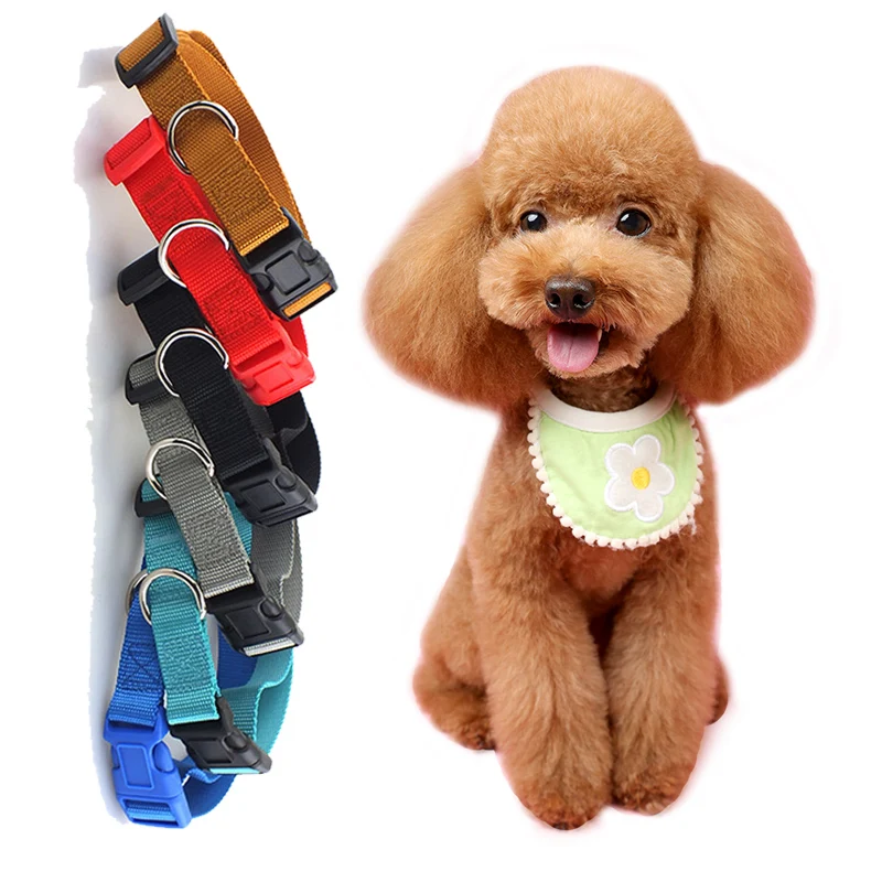 

Solid Dog Collars pet collar For small, medium and large dogs Teddy Cage pit bull Bulldog Beagle dog accessories dog harness