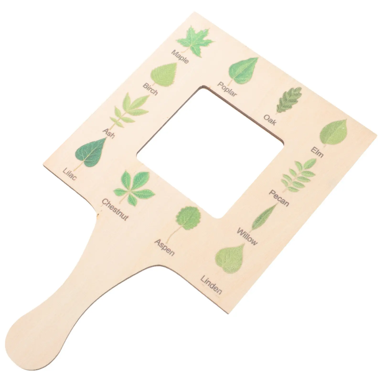 Guia de Natureza: Ferramenta Estável de Madeira para Observação de Nuvens, Ferramenta de Exploração e Aprendizagem para Identificação ao Ar Livre