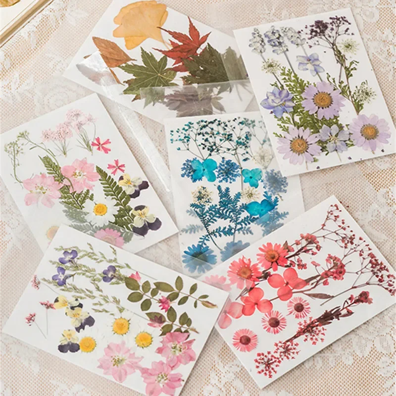 DIY Material Package Dried Flower Embossing Epoxy Decal Plant Specimen Handmade Flores Secas Сухие Цветы Fleurs Séchées 드라이 플라워