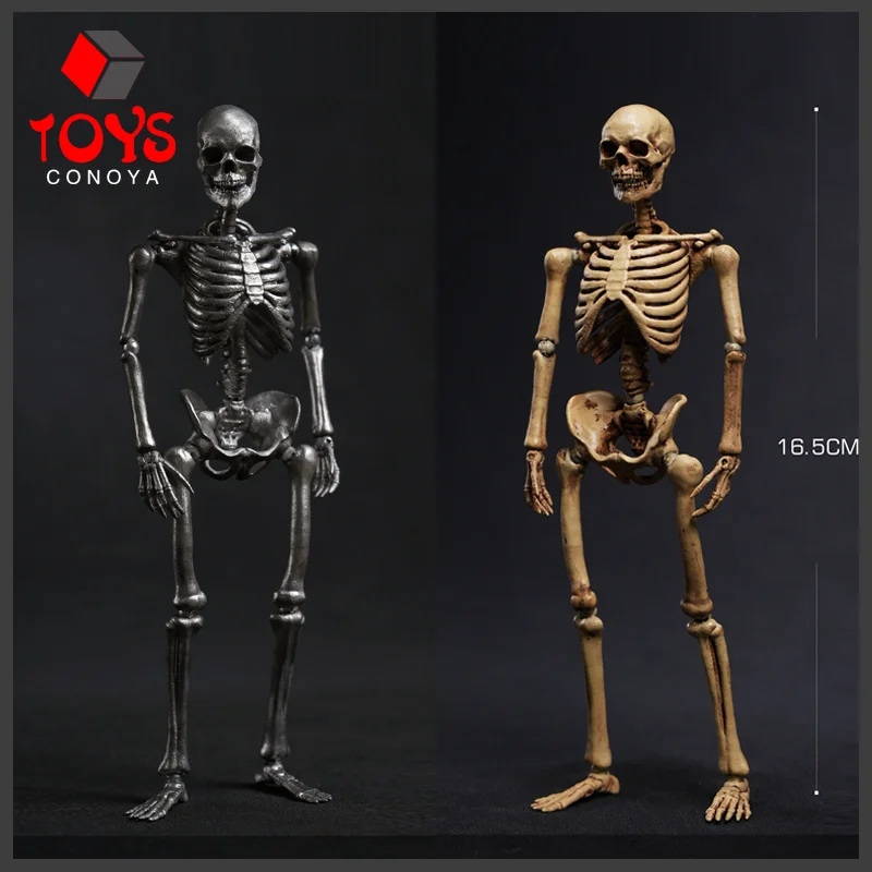 【2024 Q4】101TOYS ES001 ES002 1/12 Scale Super Flexible 16.5cm Skeleton Body 6 '' Male Female Soldier Action Figure Body Dolls