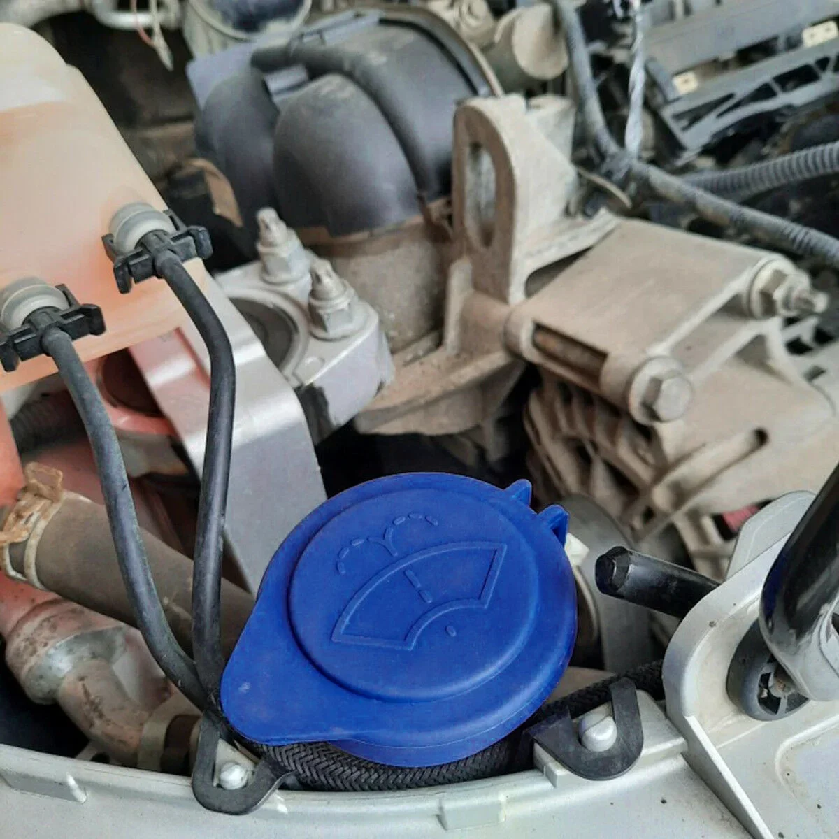 Washer Bottle Cap Car Windshield Wiper Washer Fluid Reservoir Lid Cover Tank Bottle Pot Cap For Ford Focus 1708196 NEW