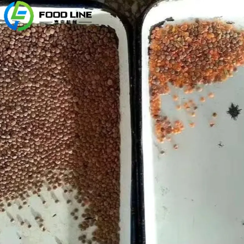 France Lentils Optical Sorter High Sorting Accuracy Color Sorter for Lentil Sorting CE Certificated Hot Sell in Europe
