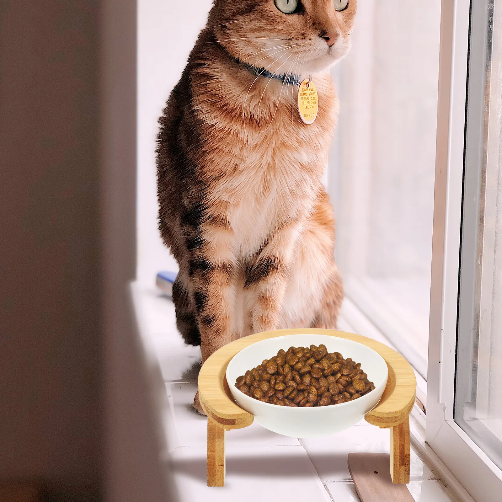 

Ceramic Raised Large Capacity Elevated Feeding Puppy Dog Food Water Bowl Easy Clean Smooth Surface Elevated Cat Food Bowls Pet