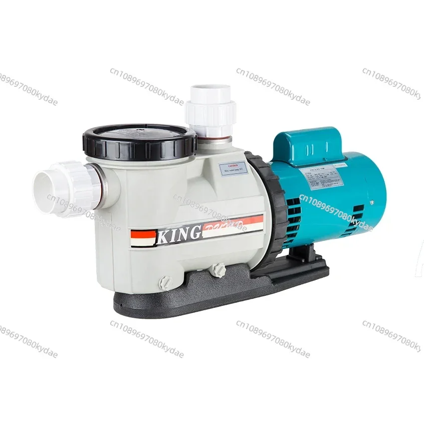 High Flow Rate Pool Pump Swimming Pool Water Equipment