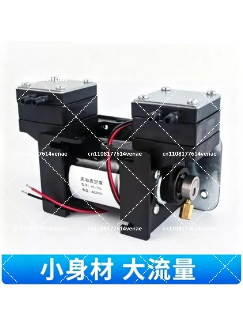 12V 220V Miniature Vacuum Pump High Positive Negative Pressure Large Flow Dual Head Diaphragm Pump for Beauty Instrument Mute