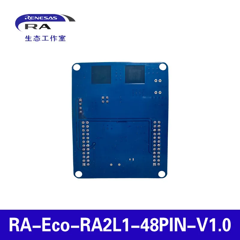 RA2L1 Development Board RA-Ec-RA2L1-48PIN-V1.0