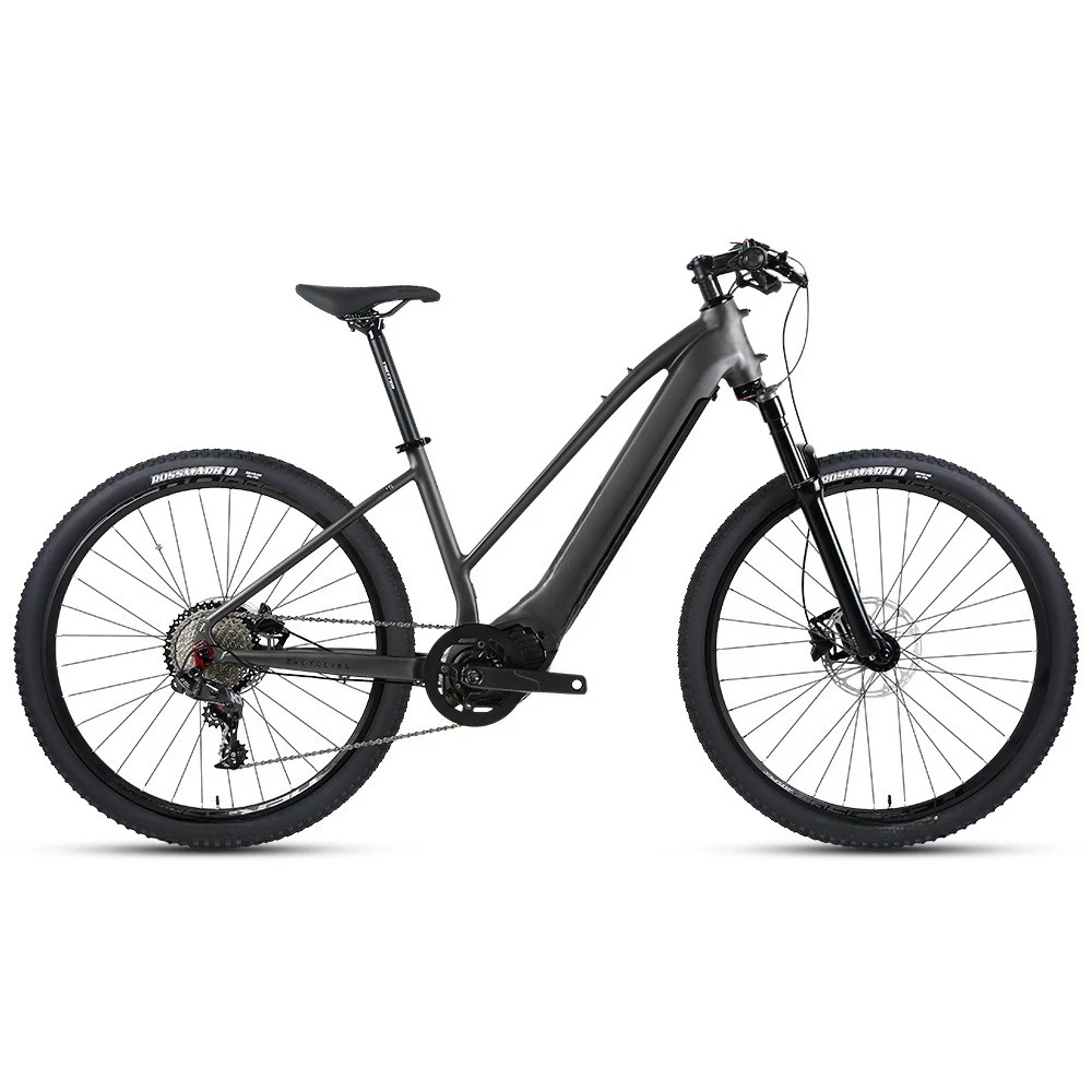 

Electric bicycle M510 mid-motor station wagon, variable speed mountain bike 36V/48V