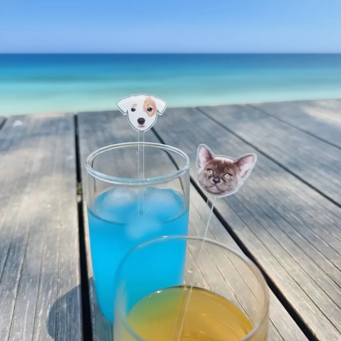 تخصيص صور شرب النمامون هدايا الزفاف الجدول الديكور شخصية كوكتيل النمامون الاكريليك حزب شرب النمامون جزء #3