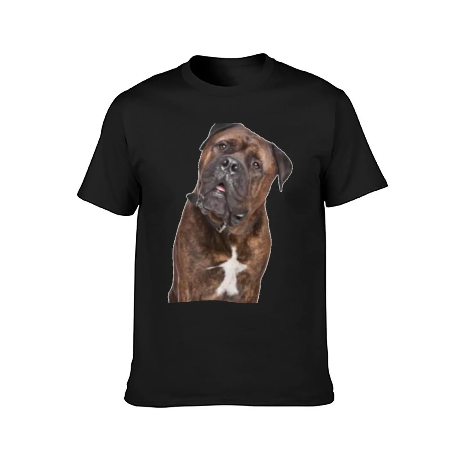 Bullmastiff Dog Cute T-Shirt new edition summer clothes cute clothes Aesthetic clothing mens workout shirts