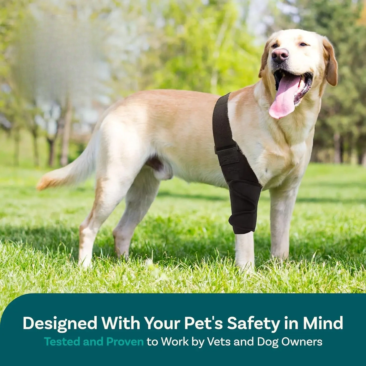 Pet Protective Gear Dog Leg Injury Auxiliary Belt Including Support Strip Dog Leg Guard Dog Knee Rehabilitation Belt