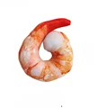 shrimp meat