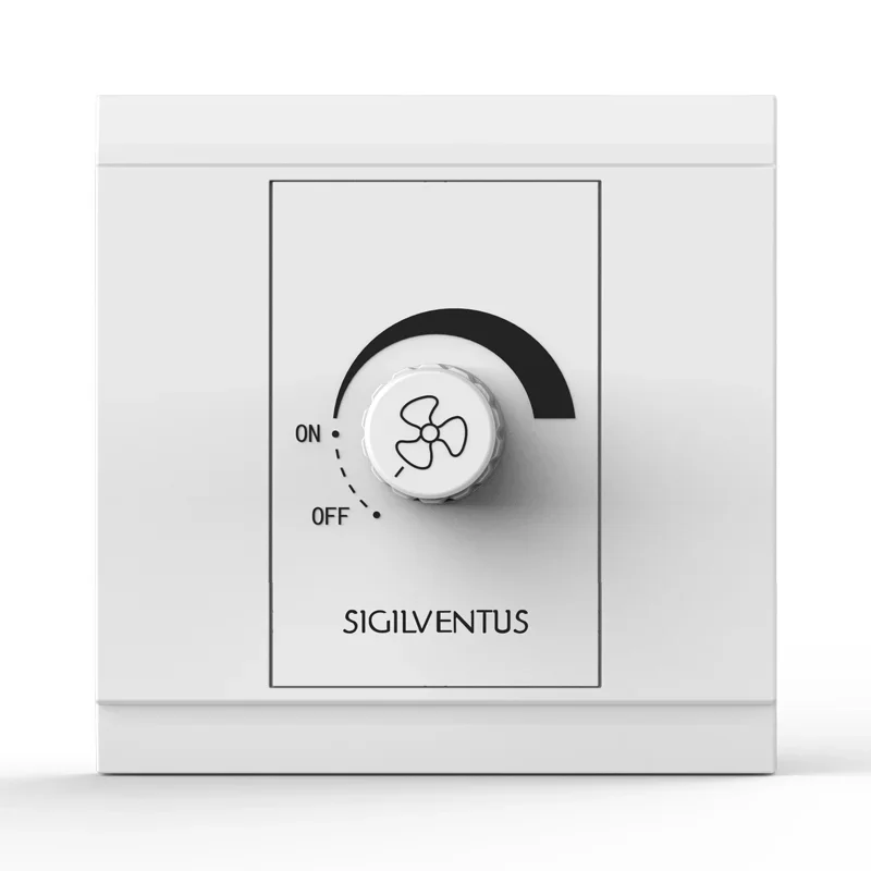 

Wall switch with variable speed control
