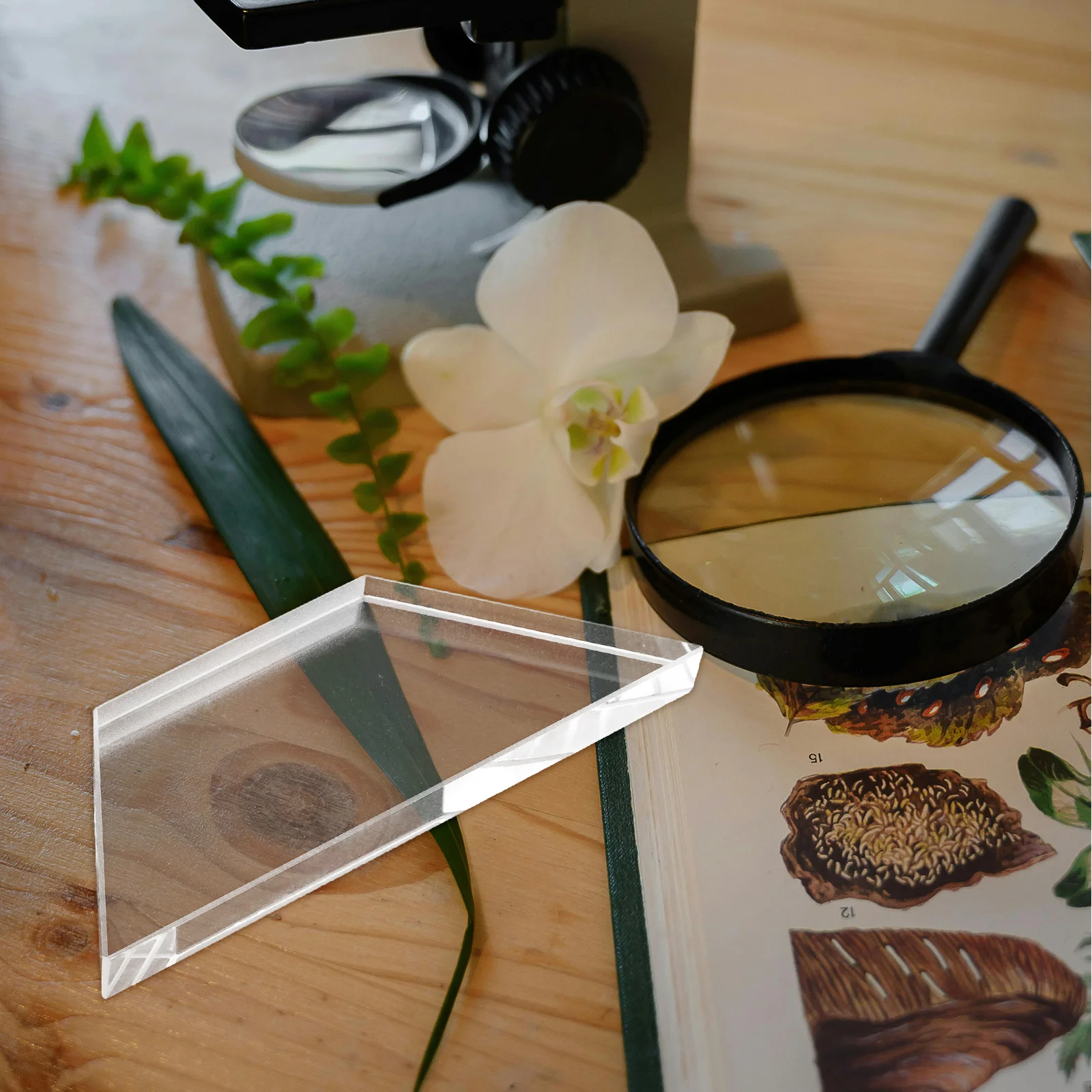 

Lens Set Experiment Optical Glass Accessory Physics Lab Gear School Science Refraction Imaging Replacement