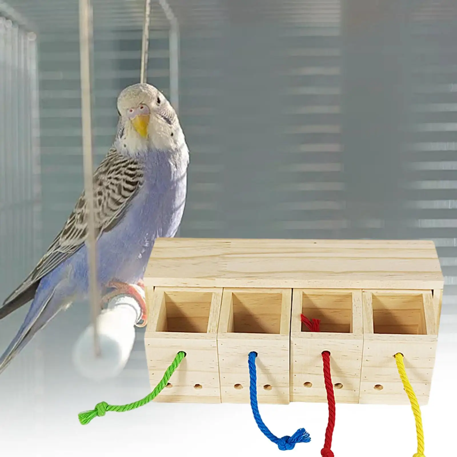Forage Toy Wooden Bird Foraging Feeder Toy Chew Toy Bird Foraging Toy Parrot Feeder Box for Macaws Lovebird Budgies Anchovies Forage Toy Wooden Bird Foraging Feeder Toy Chew Toy Bird Foraging Toy Parrot Feeder Box for Macaws Lovebird Budgies Anchovies