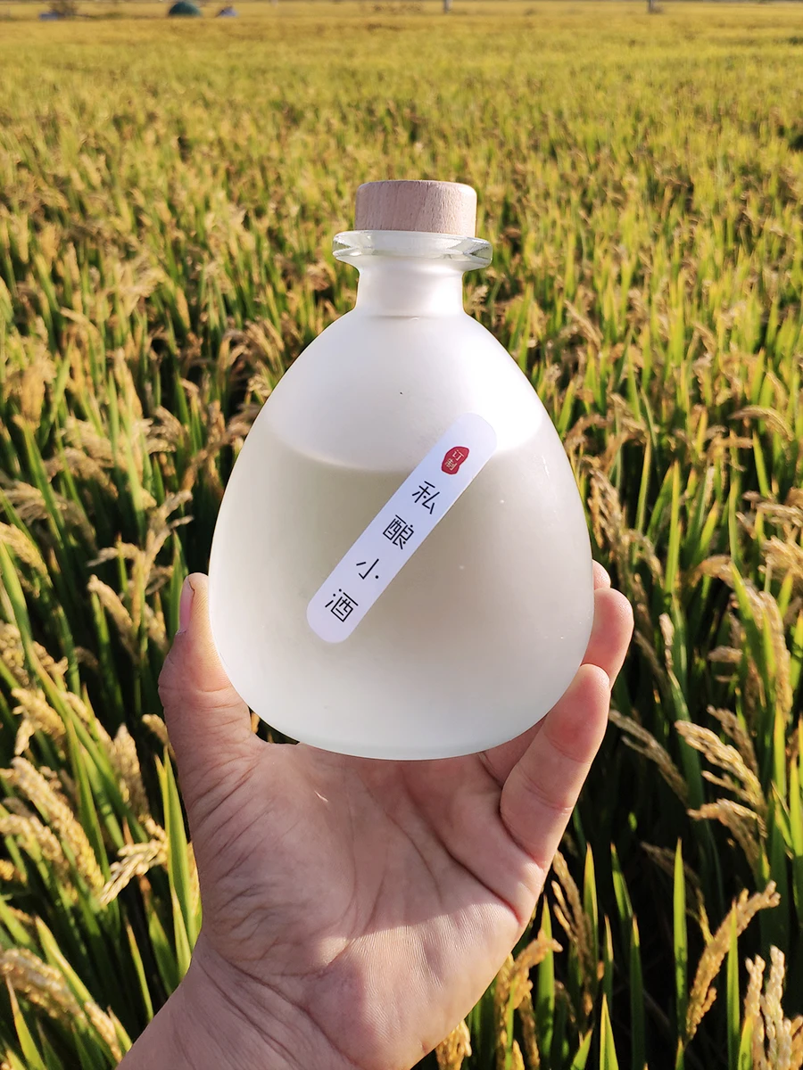  Jin Qingmei Fruit Wine Bottle 500ml Glass Sealed Fermentation Pot for Commercial Use round Shape Kitchen Storage Container