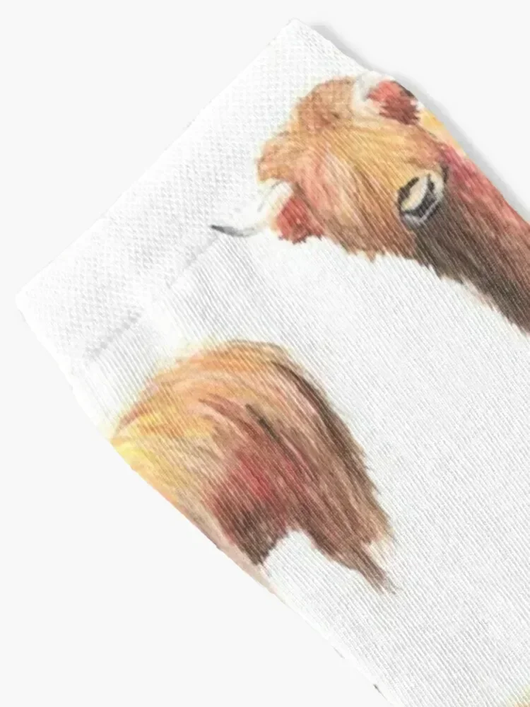 highland cow Socks cool funny gifts Wholesale Men's Socks Women's