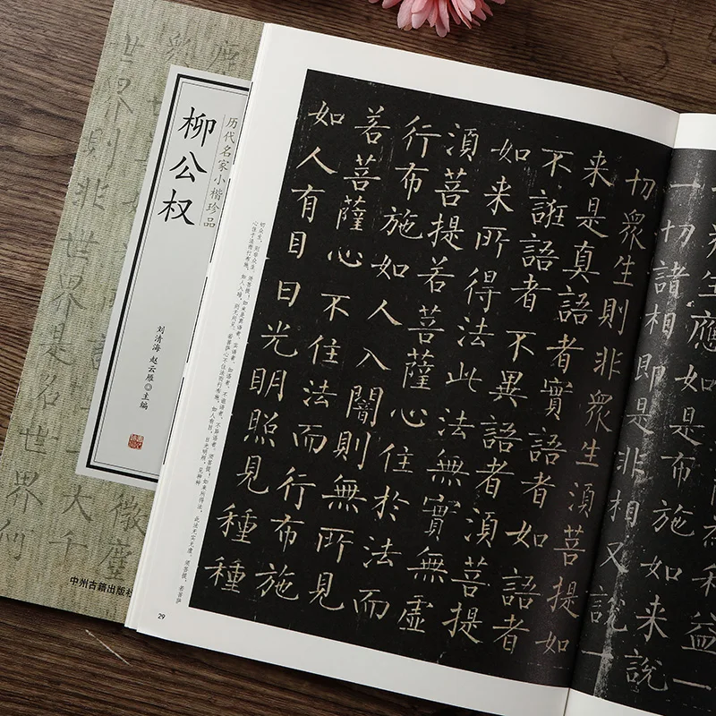 Calligraphy Copybook Small Regular Script Diamond Sutra Brush Calligraphy Practice Calligraphy Rubbing This Copybook