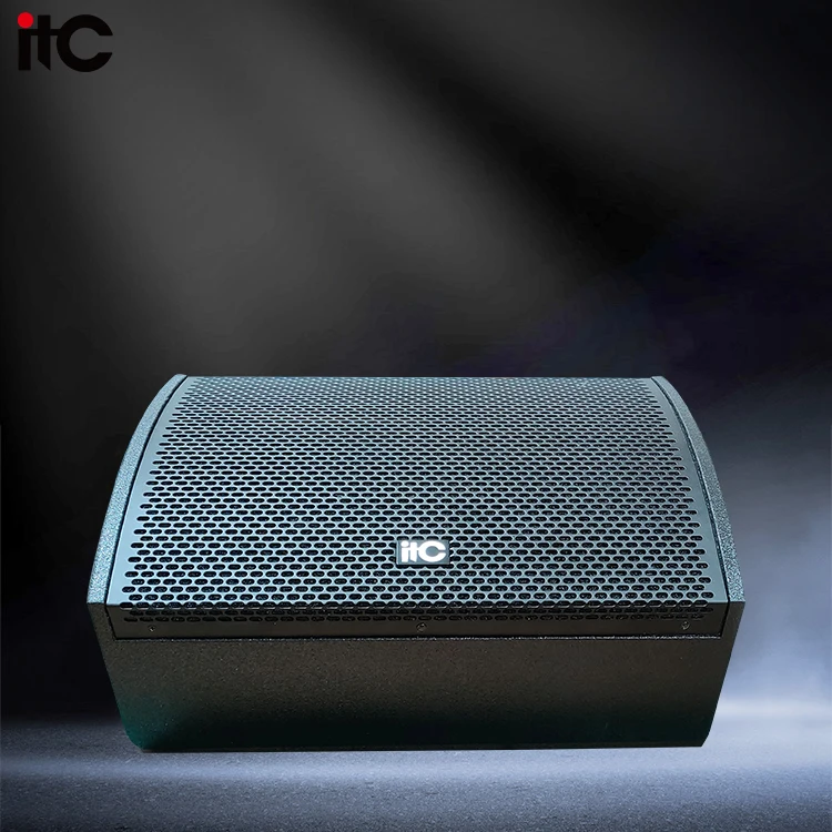 

ZJZ Black 300W High End Monitor Speakers 16 Inch Monitor Speaker Stage Monitor Speaker