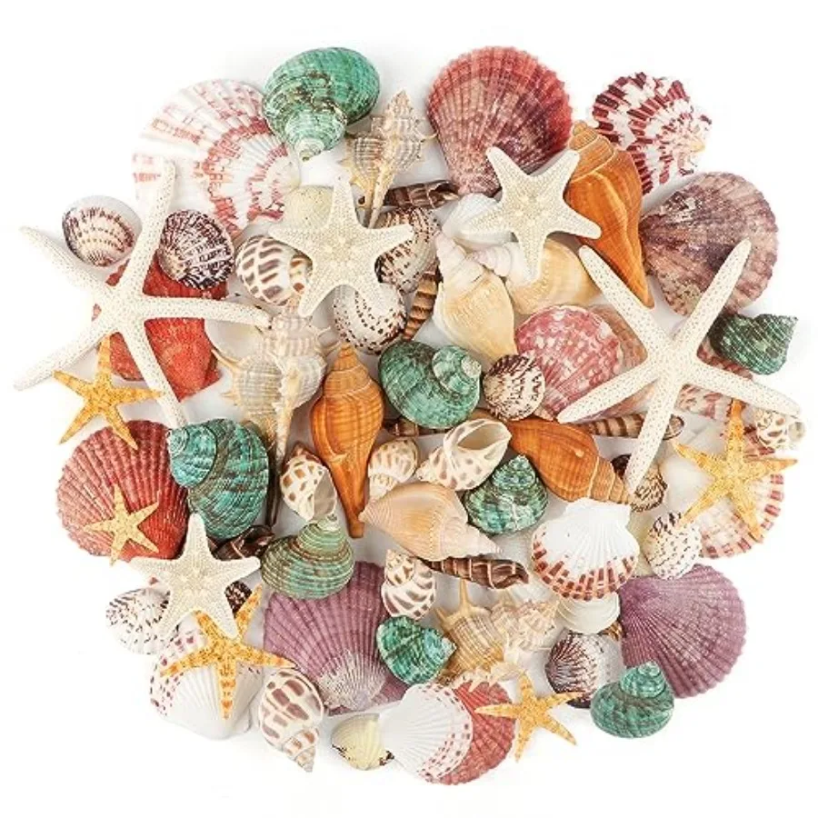 

Jangostor Sea Shells Mixed Ocean Seashells 1.2"-3.5" Various Sizes Beach Seashells and tural Starfish for Vase Fillers Fish Tan
