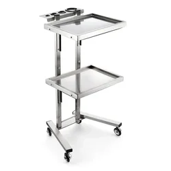 Medical Trolley Organizer Räder Hilfs wagen Friseur Salon Spa Eisen Kosmetik Haar Luxus Wohnzimmer Hotelbar