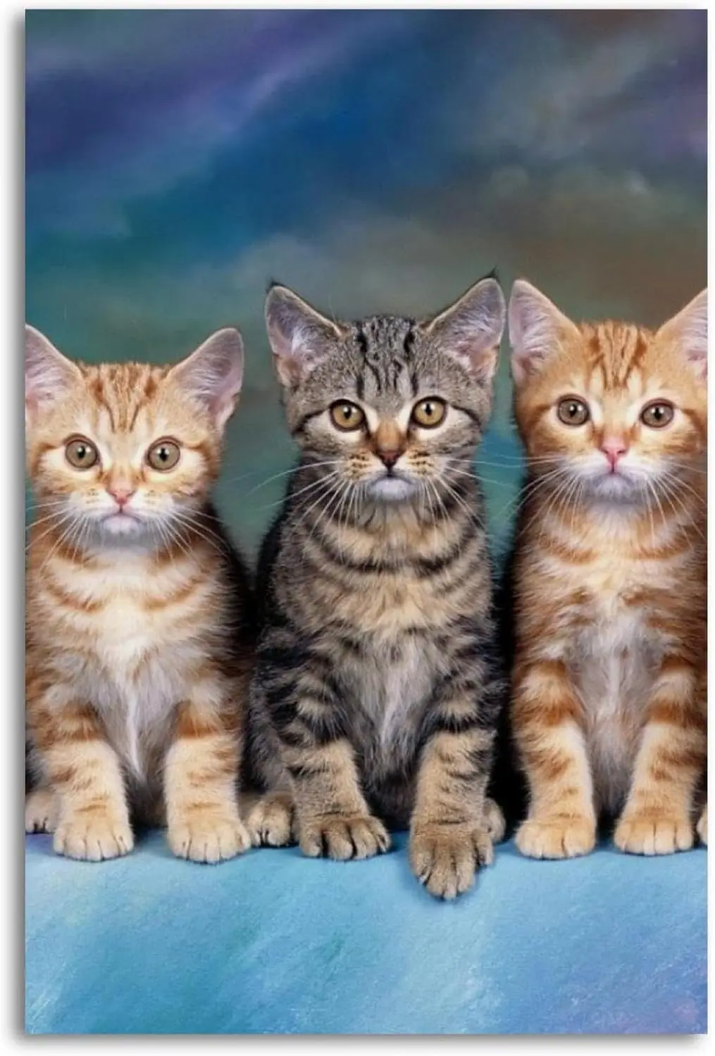 Metal Tin Signs Cat Pets Sign Vintage Wall Decor Tin Sign Plaque for Home Cafes Office Store Pubs Club 12x16