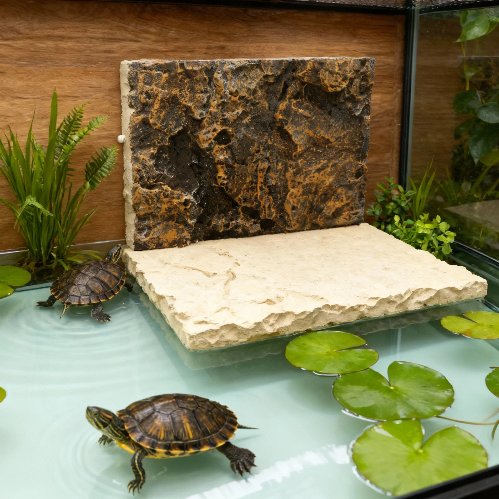 

Aquarium Background Board 3D for Turtle Tank Fish Aquarium Decor Reptile Habitat Stereo Visual Depth