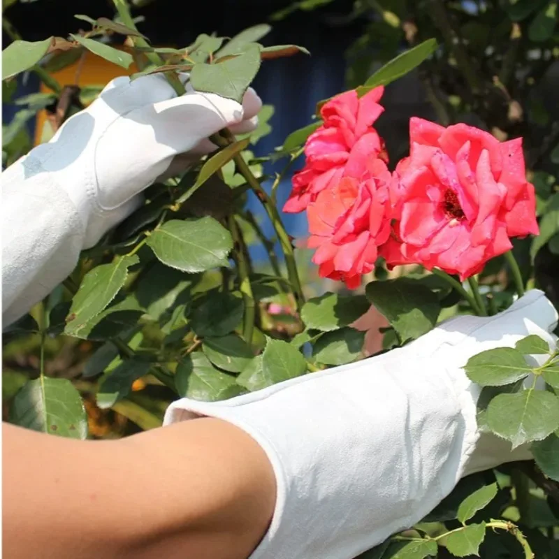 A Pair of Garden Gloves Thorn Proof Waterproof Gardening Gloves for Rose Cactus Trimming Anti Prick Floral Work Garden Tools