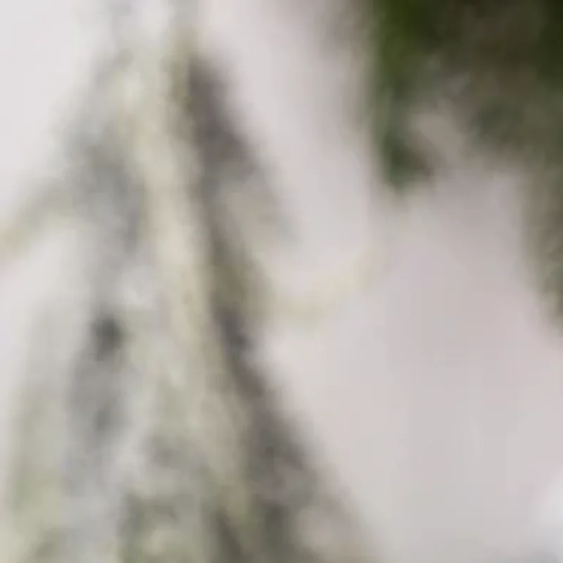 Christmas Gnome Plu…