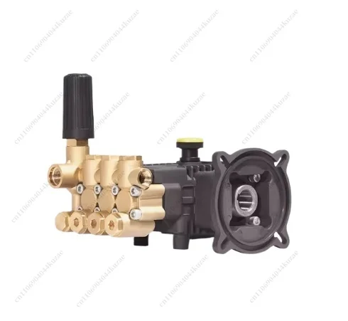 High Pressure Triplex Plunger Pump - 2-12 L Flow Rate 100 Bar Industrial Water Pump