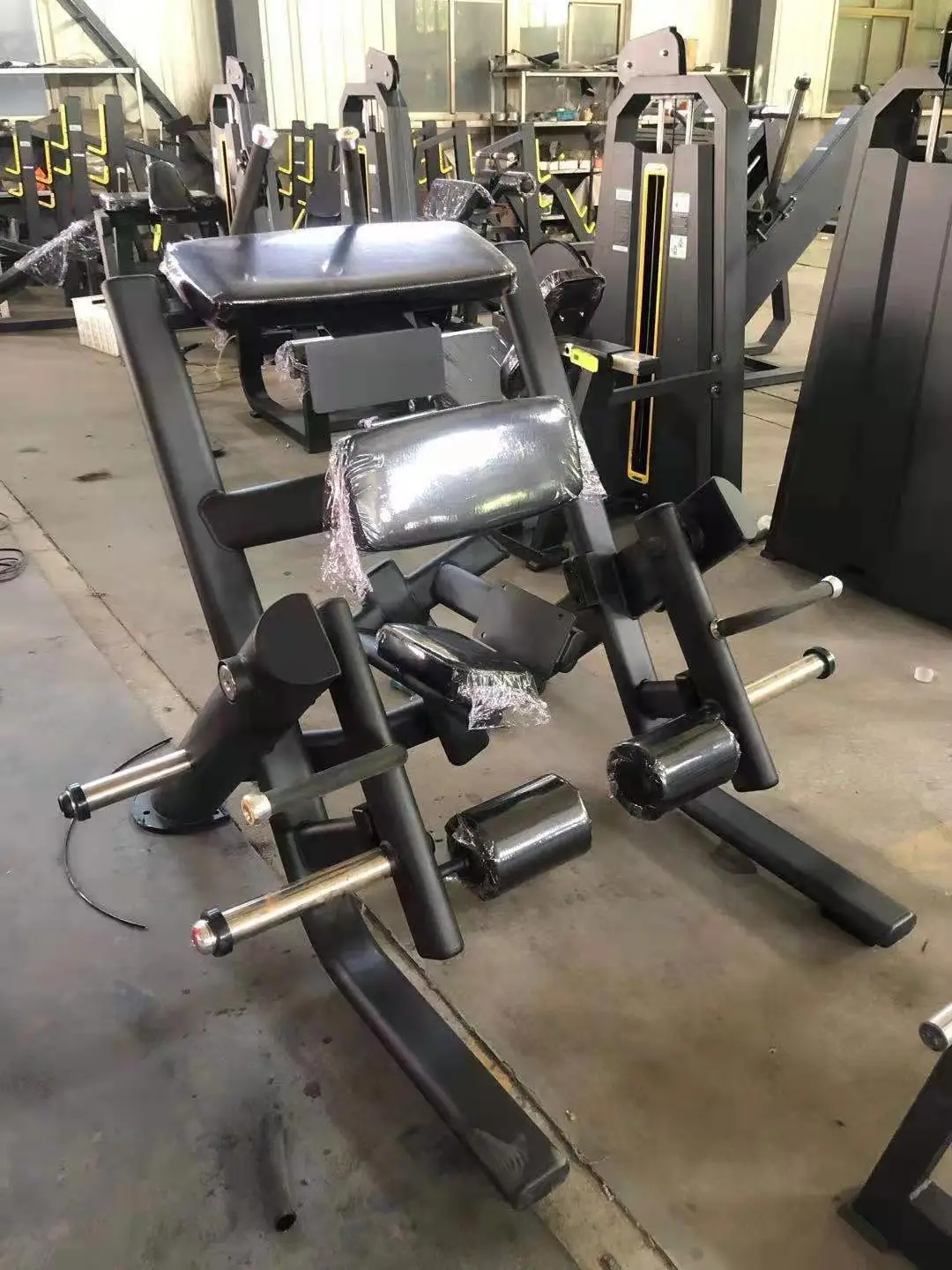 Extensive Legs Commercial Gym Equipment Complete Set of Leg Flexion and Extension Equipment Quadriceps Trainer